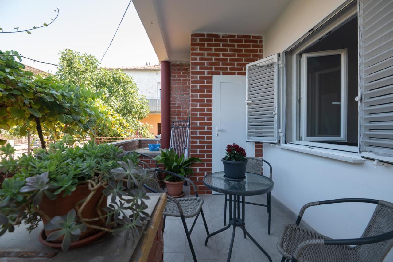 Modern Apartment Edda - Quiet Area - Close To Old Town And Beaches Zadar Ngoại thất bức ảnh